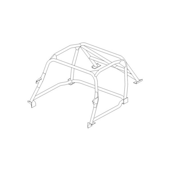 Jaguar E Type Level 2 Roll Cage T45