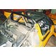 Lotus Elise roll cage (CDS)