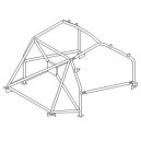 Rover 25 roll cage (CDS)
