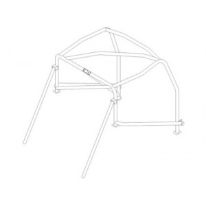 Westfield roll cage (T45)